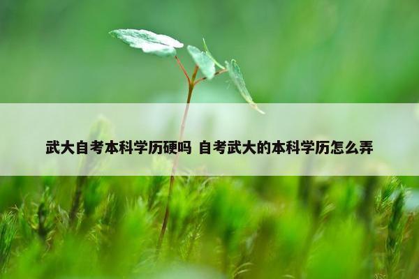 武大自考本科学历硬吗 自考武大的本科学历怎么弄