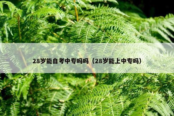 28岁能自考中专吗吗（28岁能上中专吗）