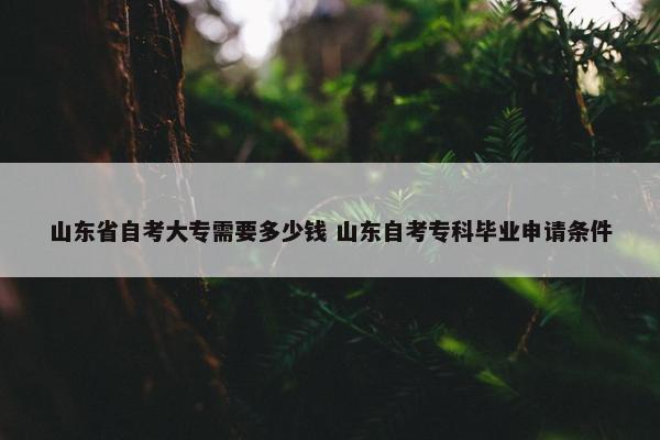 山东省自考大专需要多少钱 山东自考专科毕业申请条件