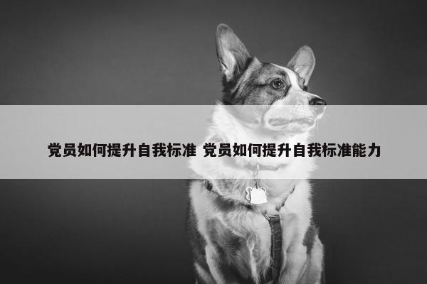 党员如何提升自我标准 党员如何提升自我标准能力