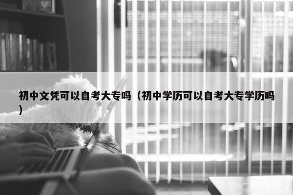 初中文凭可以自考大专吗（初中学历可以自考大专学历吗）