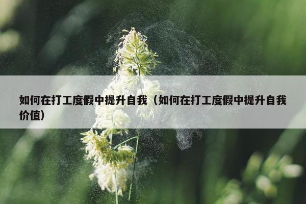 如何在打工度假中提升自我（如何在打工度假中提升自我价值）