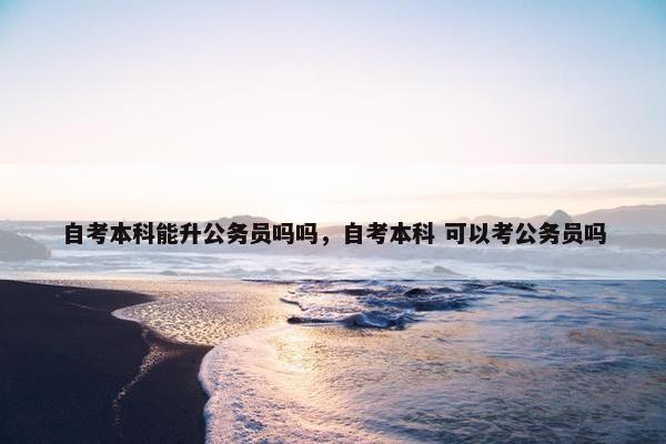 自考本科能升公务员吗吗，自考本科 可以考公务员吗