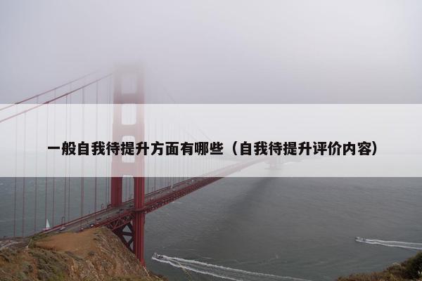 一般自我待提升方面有哪些（自我待提升评价内容）