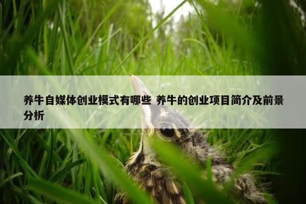 养牛自媒体创业模式有哪些 养牛的创业项目简介及前景分析