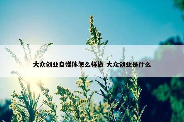 大众创业自媒体怎么样做 大众创业是什么