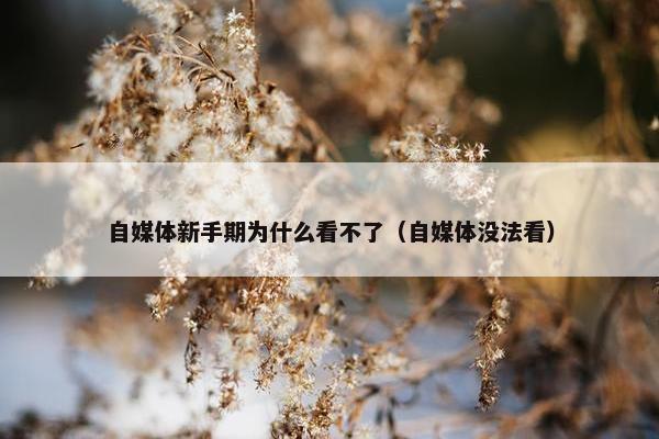 自媒体新手期为什么看不了（自媒体没法看）