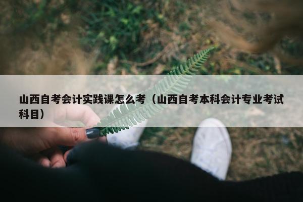 山西自考会计实践课怎么考（山西自考本科会计专业考试科目）