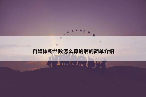 自媒体粉丝数怎么算的啊的简单介绍