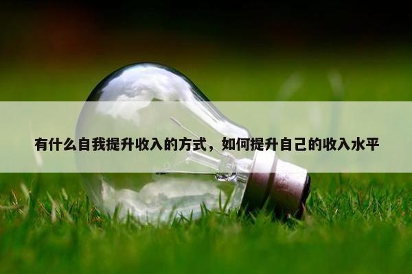 有什么自我提升收入的方式，如何提升自己的收入水平