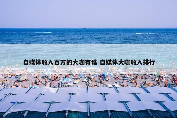 自媒体收入百万的大咖有谁 自媒体大咖收入排行