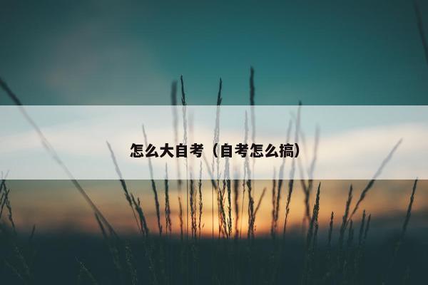 怎么大自考（自考怎么搞）