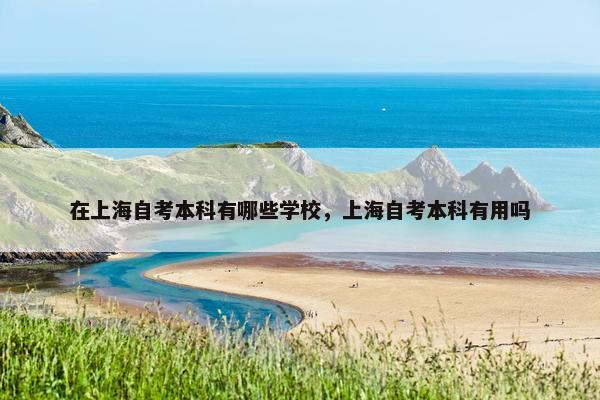 在上海自考本科有哪些学校，上海自考本科有用吗