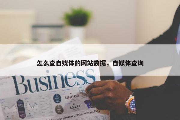 怎么查自媒体的网站数据，自媒体查询