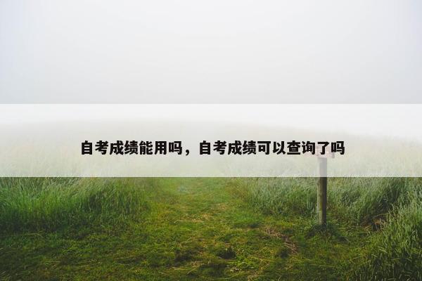 自考成绩能用吗，自考成绩可以查询了吗