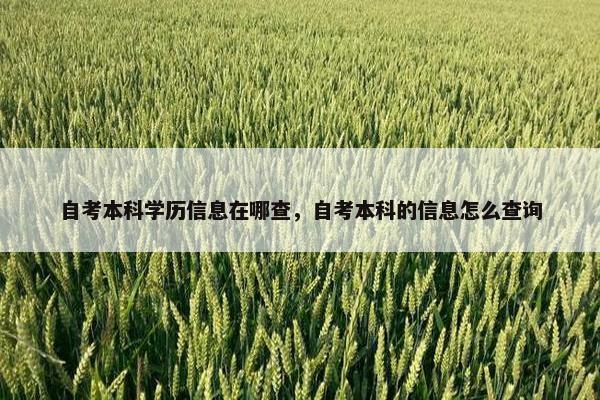 自考本科学历信息在哪查，自考本科的信息怎么查询