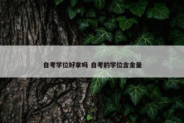 自考学位好拿吗 自考的学位含金量