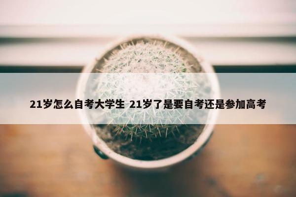 21岁怎么自考大学生 21岁了是要自考还是参加高考