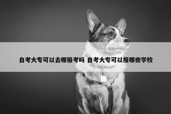 自考大专可以去哪报考吗 自考大专可以报哪些学校