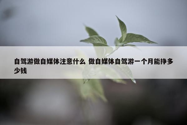 自驾游做自媒体注意什么 做自媒体自驾游一个月能挣多少钱