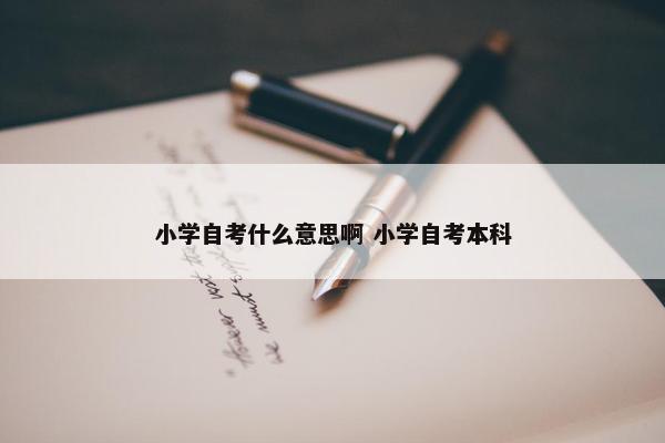 小学自考什么意思啊 小学自考本科