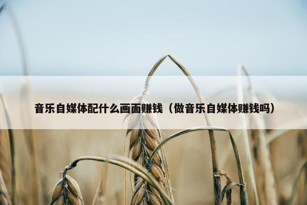 音乐自媒体配什么画面赚钱（做音乐自媒体赚钱吗）