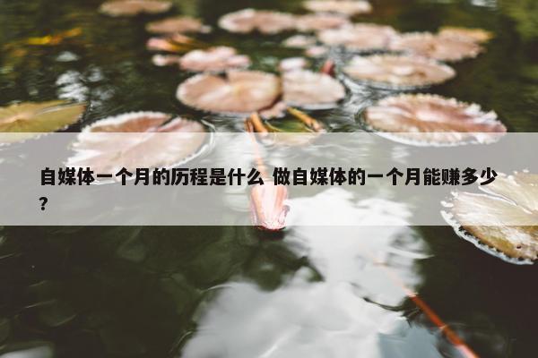 自媒体一个月的历程是什么 做自媒体的一个月能赚多少?