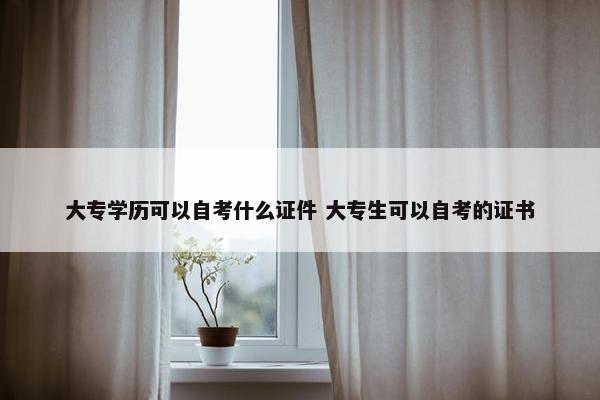 大专学历可以自考什么证件 大专生可以自考的证书