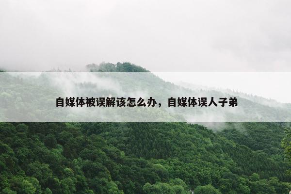 自媒体被误解该怎么办，自媒体误人子弟