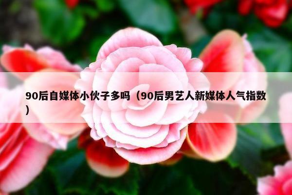 90后自媒体小伙子多吗（90后男艺人新媒体人气指数）