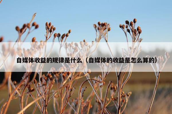 自媒体收益的规律是什么（自媒体的收益是怎么算的）