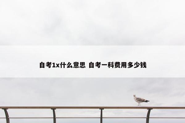 自考1x什么意思 自考一科费用多少钱