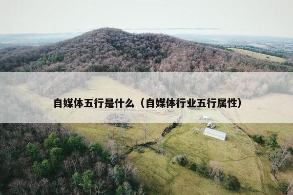 自媒体五行是什么（自媒体行业五行属性）