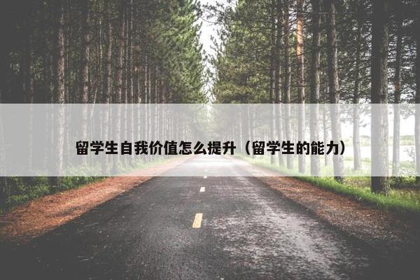 留学生自我价值怎么提升（留学生的能力）