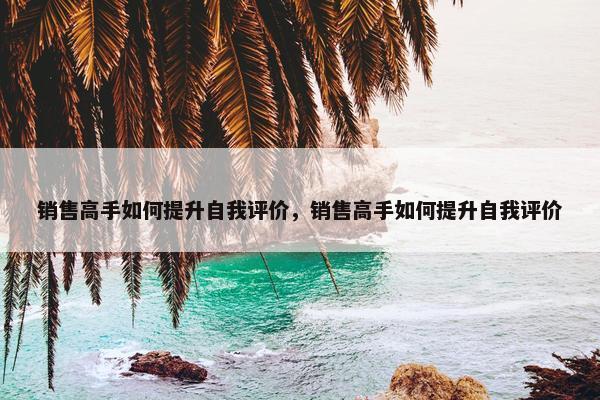 销售高手如何提升自我评价，销售高手如何提升自我评价