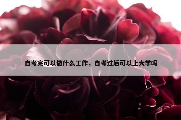 自考完可以做什么工作，自考过后可以上大学吗