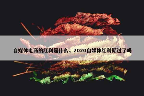 自媒体电商的红利是什么，2020自媒体红利期过了吗