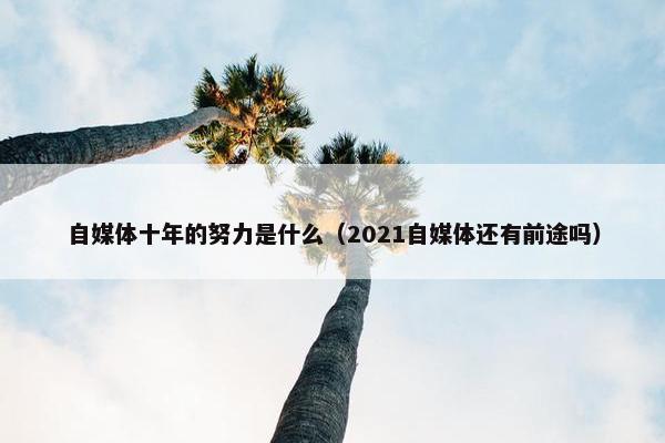 自媒体十年的努力是什么（2021自媒体还有前途吗）