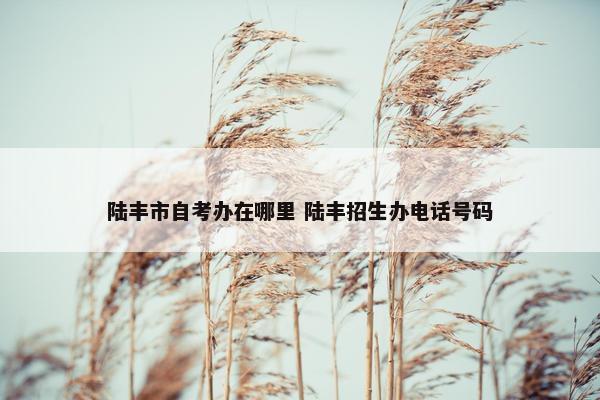 陆丰市自考办在哪里 陆丰招生办电话号码