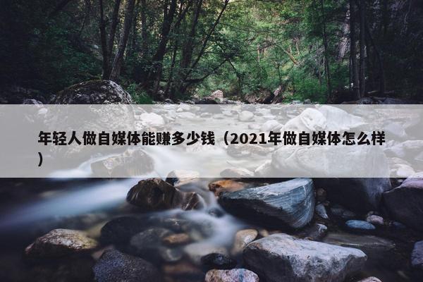 年轻人做自媒体能赚多少钱（2021年做自媒体怎么样）