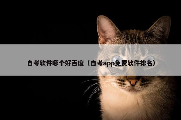 自考软件哪个好百度（自考app免费软件排名）