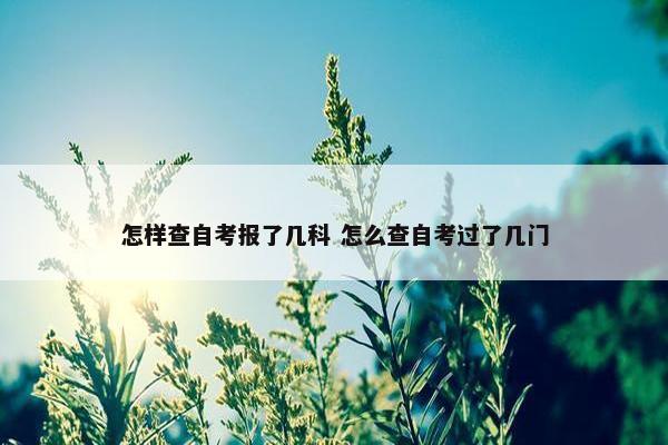 怎样查自考报了几科 怎么查自考过了几门