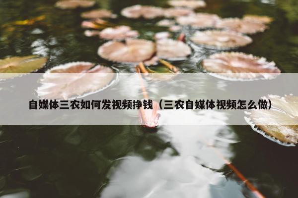 自媒体三农如何发视频挣钱（三农自媒体视频怎么做）