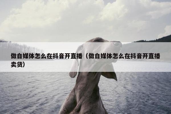 做自媒体怎么在抖音开直播（做自媒体怎么在抖音开直播卖货）