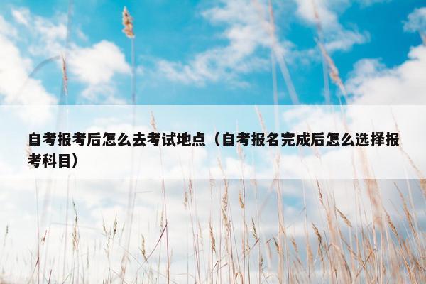 自考报考后怎么去考试地点（自考报名完成后怎么选择报考科目）