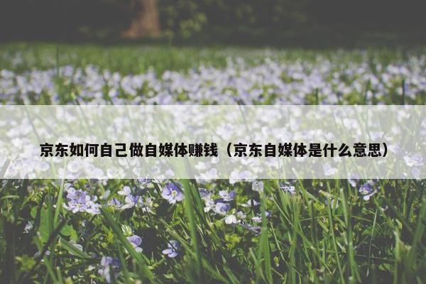 京东如何自己做自媒体赚钱（京东自媒体是什么意思）