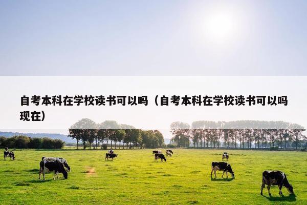 自考本科在学校读书可以吗（自考本科在学校读书可以吗现在）