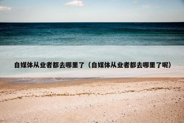 自媒体从业者都去哪里了（自媒体从业者都去哪里了呢）