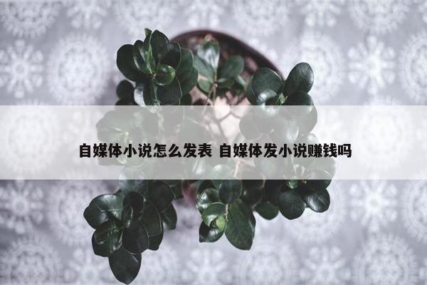 自媒体小说怎么发表 自媒体发小说赚钱吗