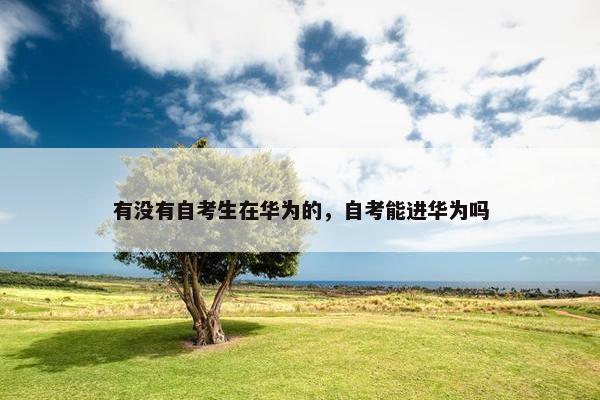 有没有自考生在华为的，自考能进华为吗